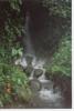 stream in yard