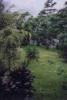 View of backyard