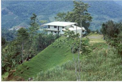 Looking at house