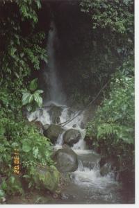 stream in yard