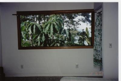window west facing
